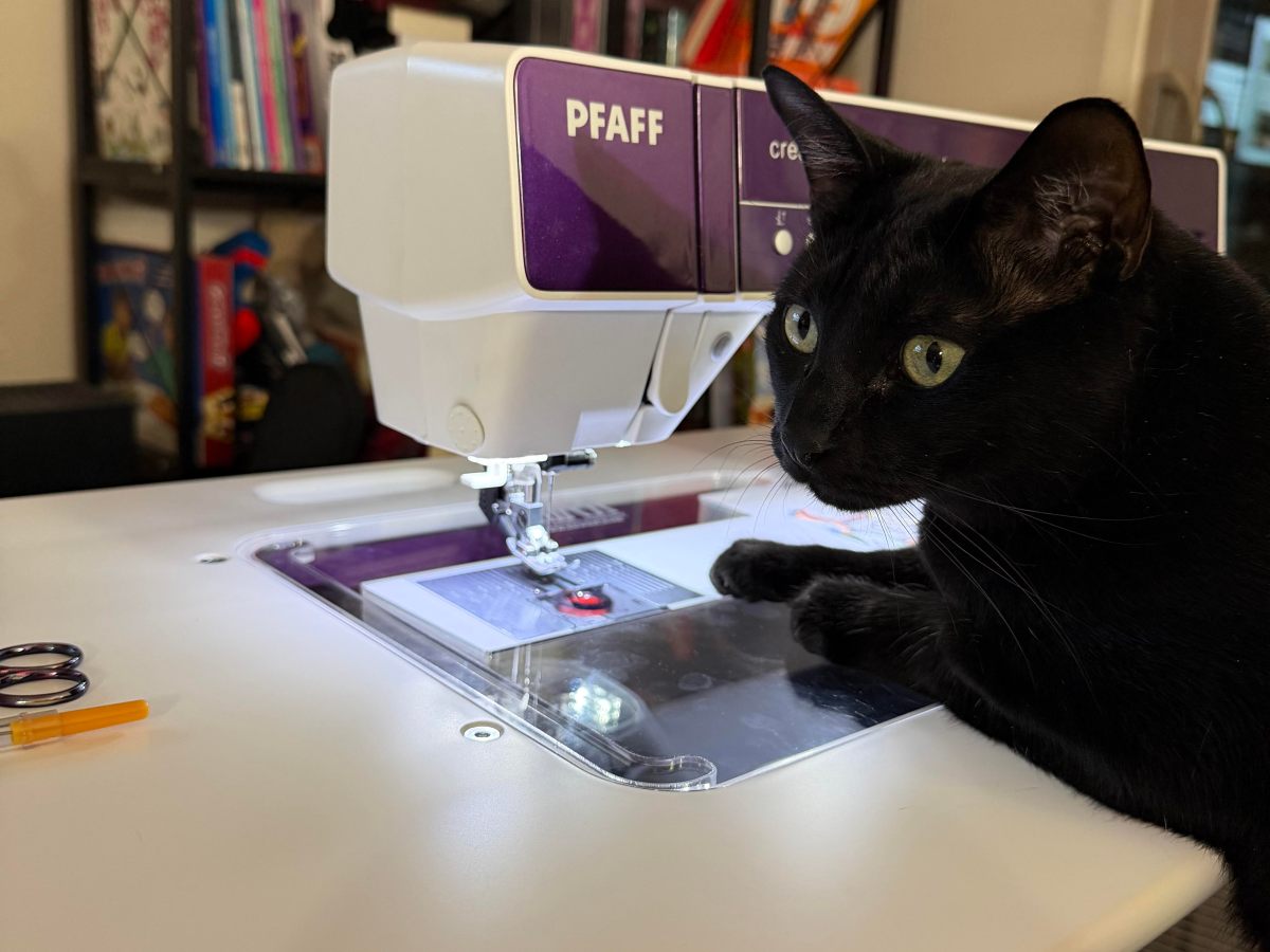 An Introduction &&nbsp;Tour