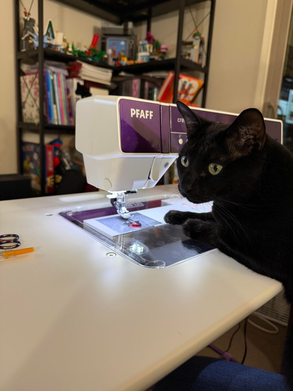 An Introduction &&nbsp;Tour